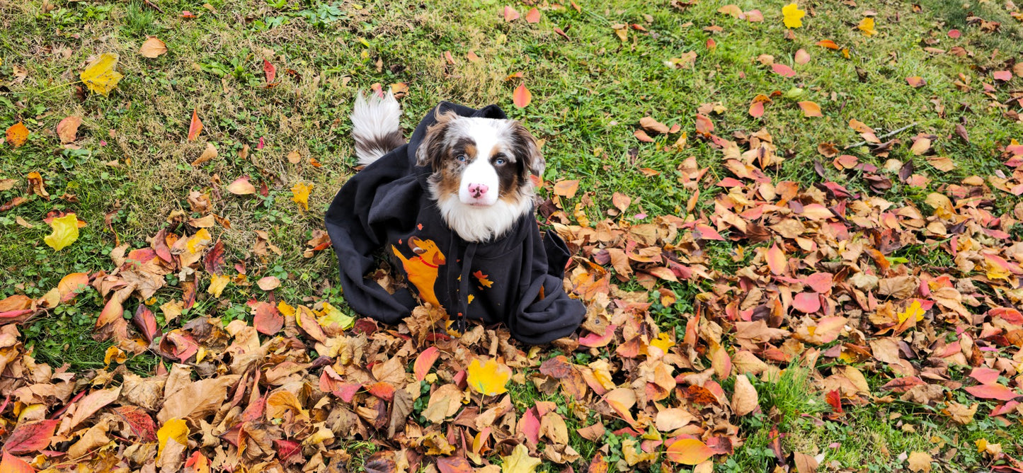 Golden Retriever Football Hoodie
