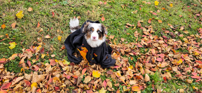 Golden Retriever Football Hoodie